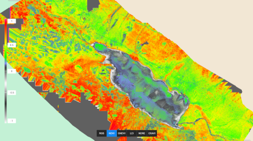 Ortofoto con indice spettrale NDVI