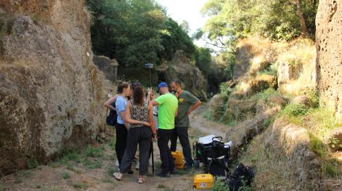 Students conducting field surveys