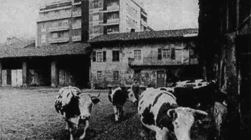 Cascina La Grangia