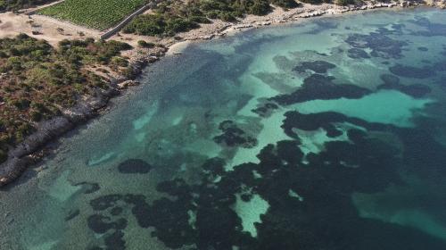 La linea di costa osservata dal drone