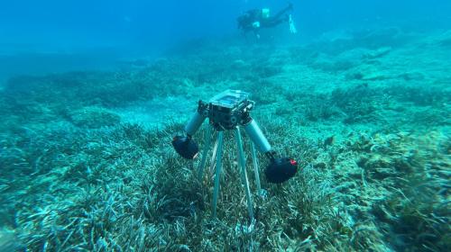 Acquisizioni iperspettrali sulle praterie di posidonia