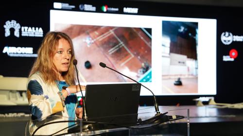 Professor Elisa Capello