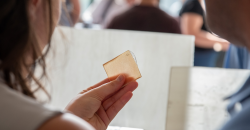 Legno trasparente - copertina (1).png