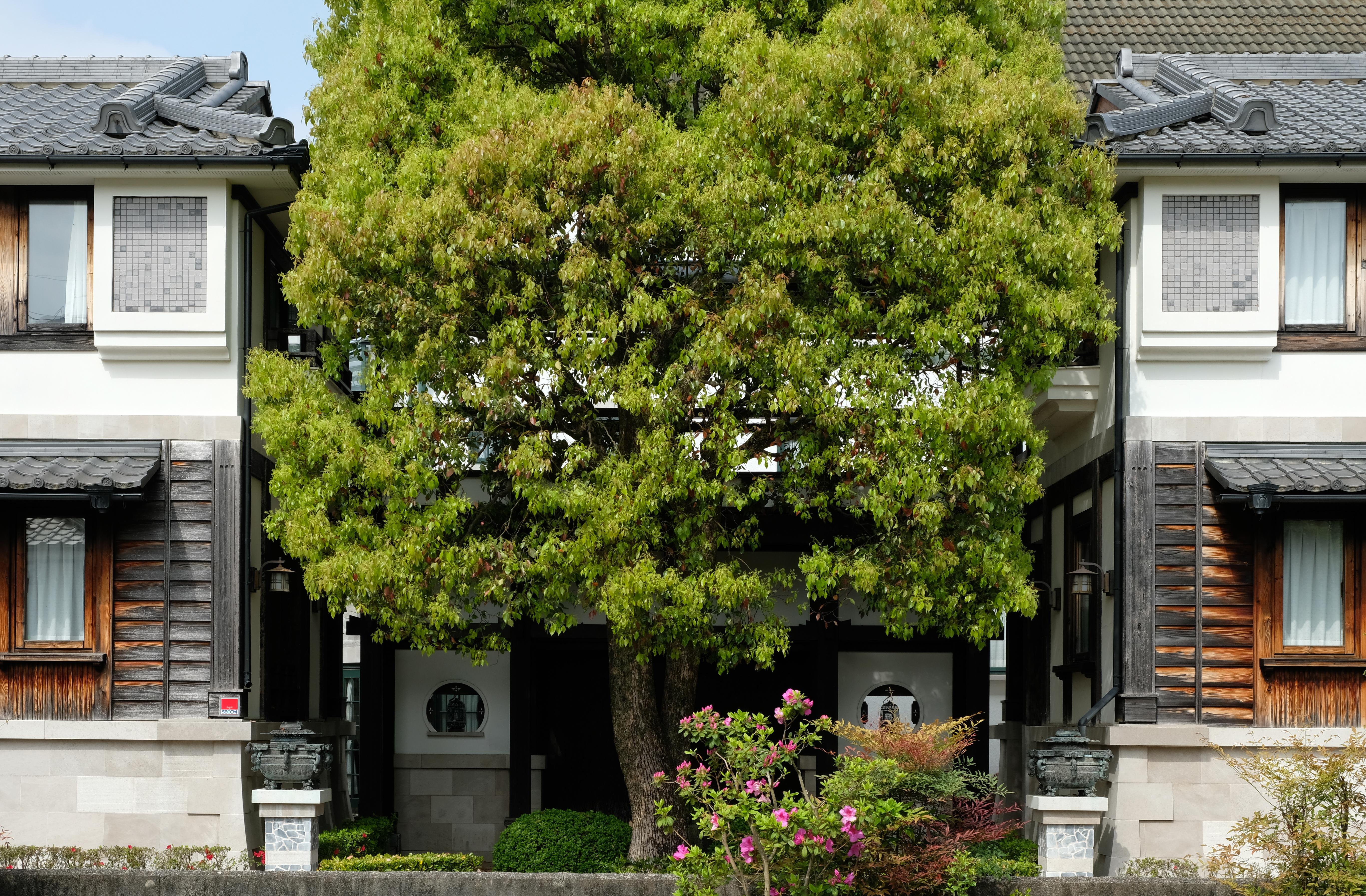 Japan Hub Office in Kyoto