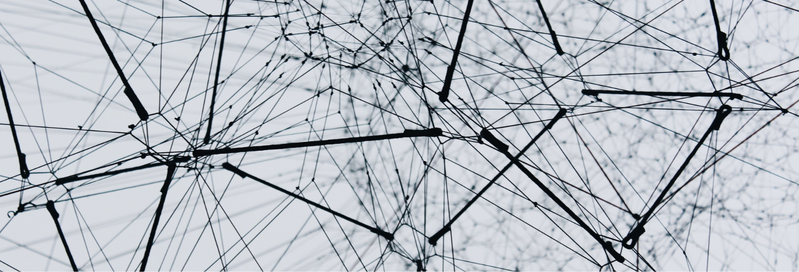 _alina-grubnyak-ZiQkhI7417A-unsplash.png