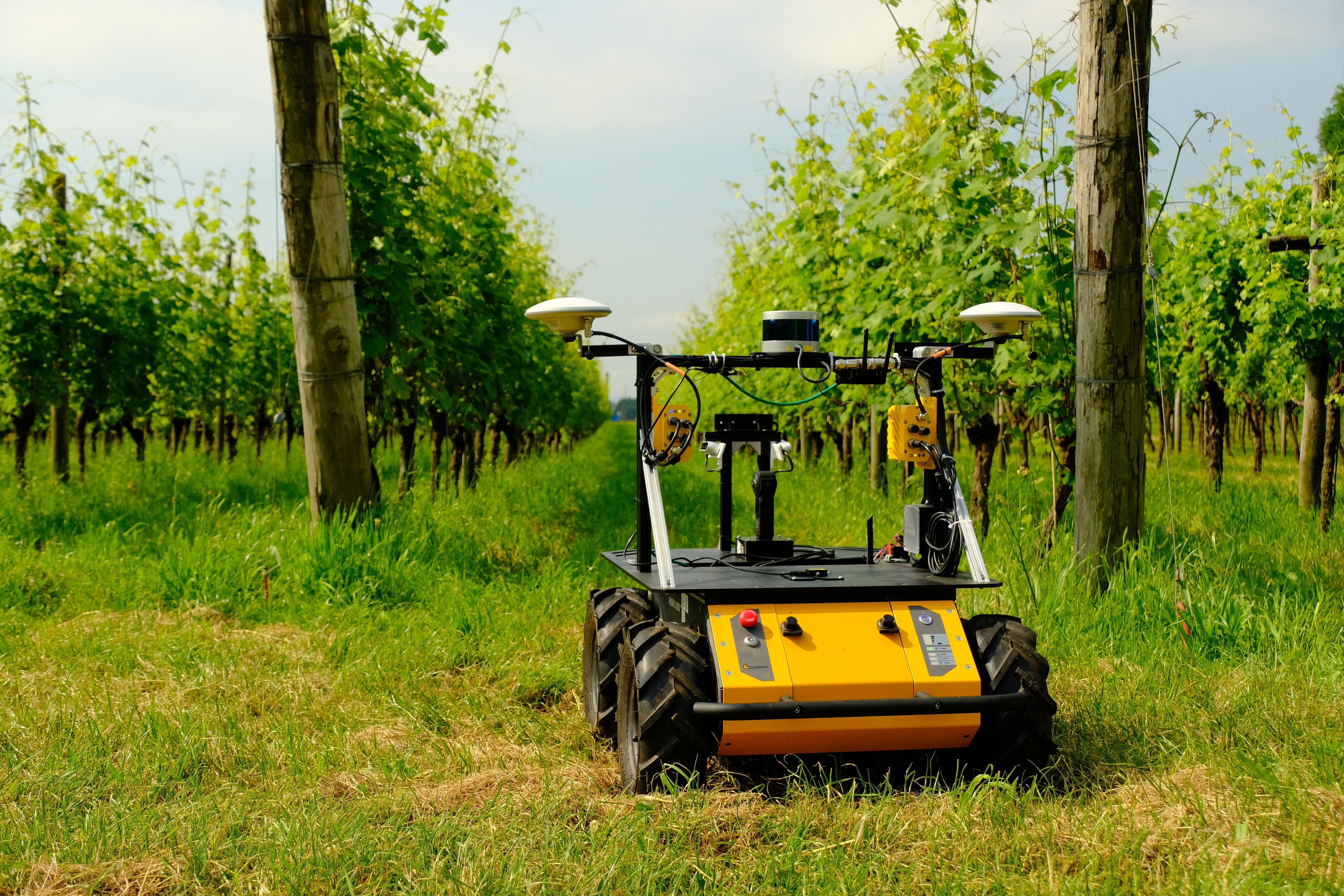 PIC4Ser vigne